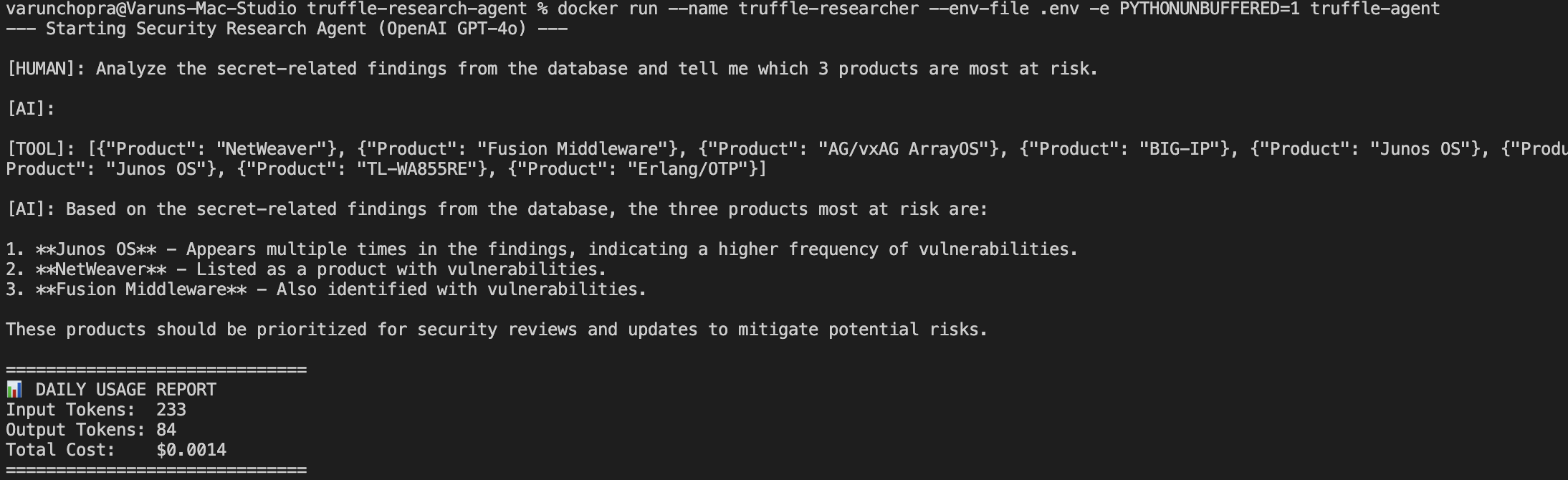 Terminal showing docker run command executing the containerized agent with environment variables injected at runtime